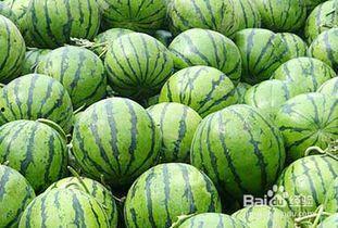 吃白沙瓜上火吗,白沙瓜，真的会上火吗？