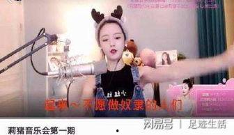 杨凯丽网红,网络红人崛起之路与影响力解析