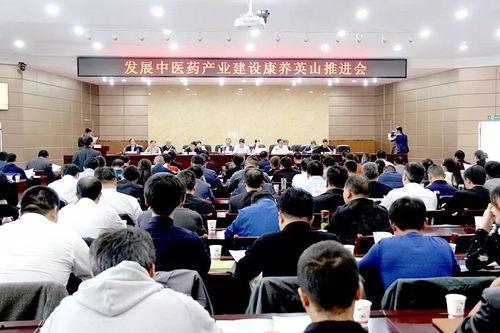 四川英山新闻头条,聚焦乡村振兴，共绘美好家园新画卷