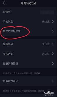 头条视频怎么去除原声,打造个性化内容