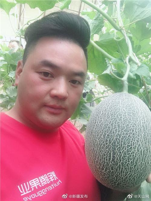 最近直播在吃的瓜,揭秘近期热门吃瓜事件幕后真相