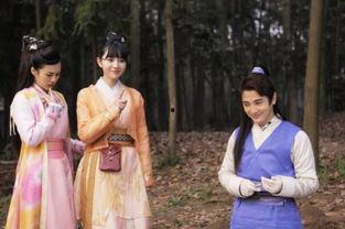 纳妾记2高清在线观看,权谋纷争，爱恨交织的宫廷秘史