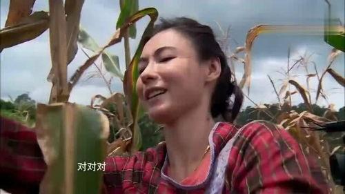 家住农村的明星