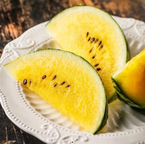 白天鹅吃瓜,一场与自然的亲密邂逅