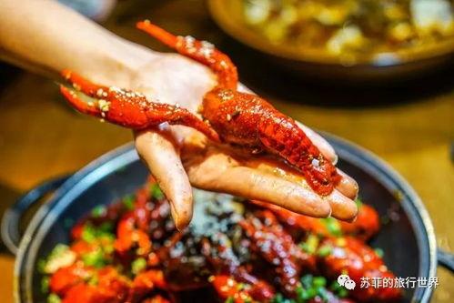 网红菜龙图片大全,创意美食盛宴，视觉与味蕾的双重享受