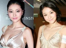 我要看明星的胸,透视那些令人瞩目的胸围魅力